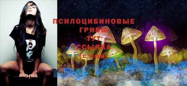 прущие крисы Армянск