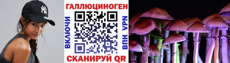 ОМГ ОМГ маркетплейс  Кировск  Галлюциногенные грибы Psilocybine cubensis 